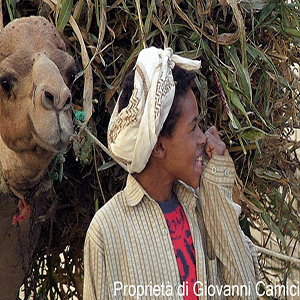 Yemen: Jibla-Ibb